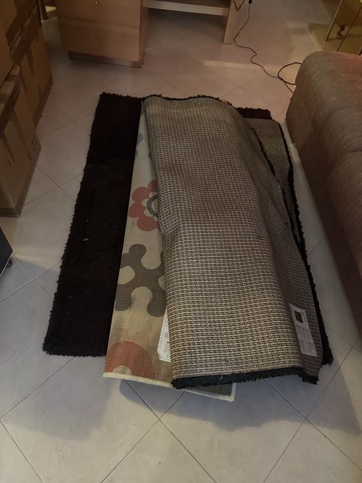 Carpetes de sala