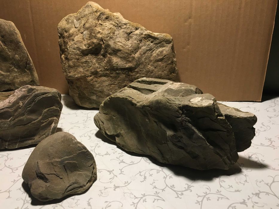 Зоотовари для дизайну тераріум