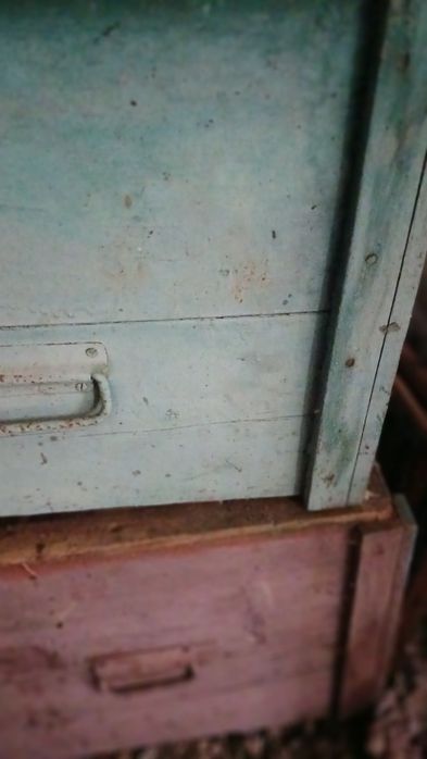 Вулики великі для бджіл