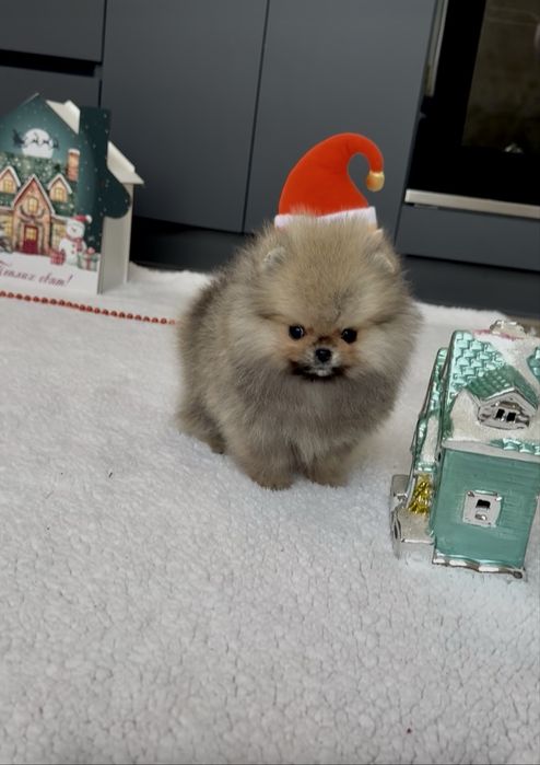 Ексклюзивчик!СУПЕР-МІНІ хлопчик