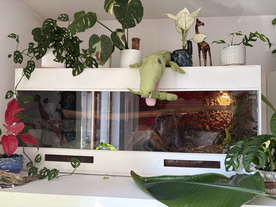 Duze terrarium PCV
