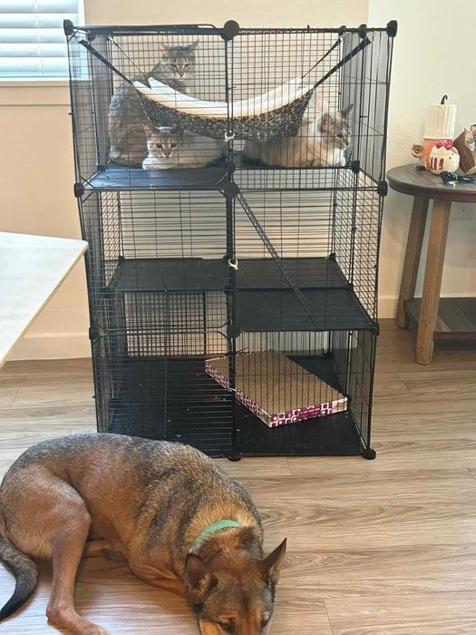 Klatka Woliera dla Gryzoni Szczurów Szynszyli 104cm NOWA Wybieg Kojec