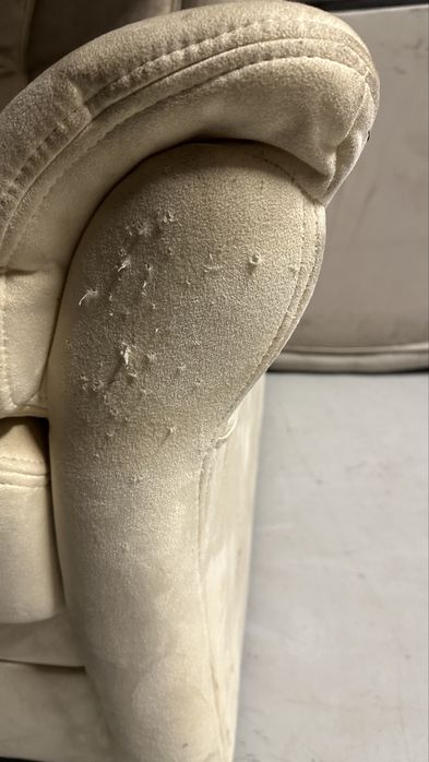 Fotel do salonu – materiał typu zamsz / mikrofaza (ślady po kocie)