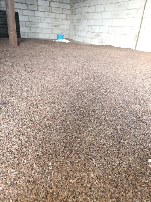 Sprzedam Łubin biały Gryka Facelia