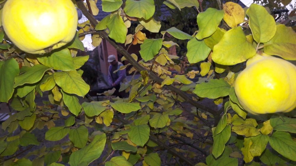 Продается новый дом с террасой \ возле . воды \.