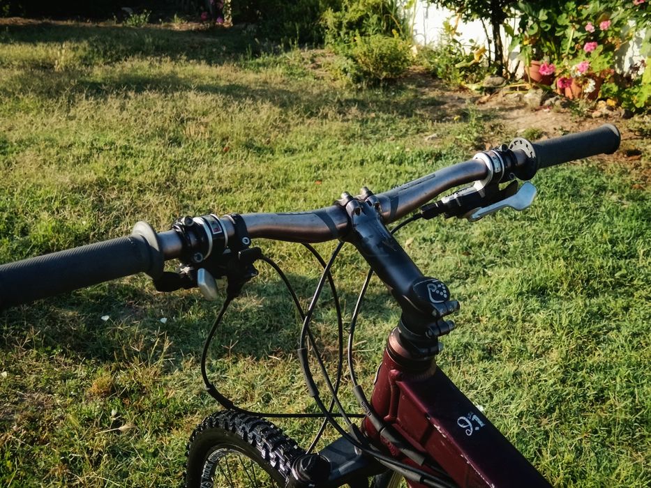 RockRider 9.1 - Bicicleta de BTT Todo o Terreno - XC/Trail - Tamanho L