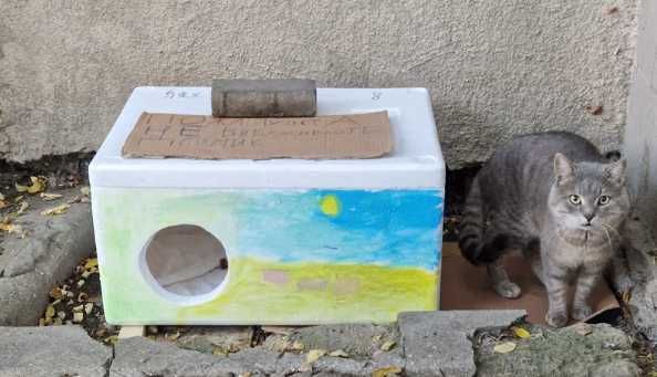 Будиночок, домік для котиків