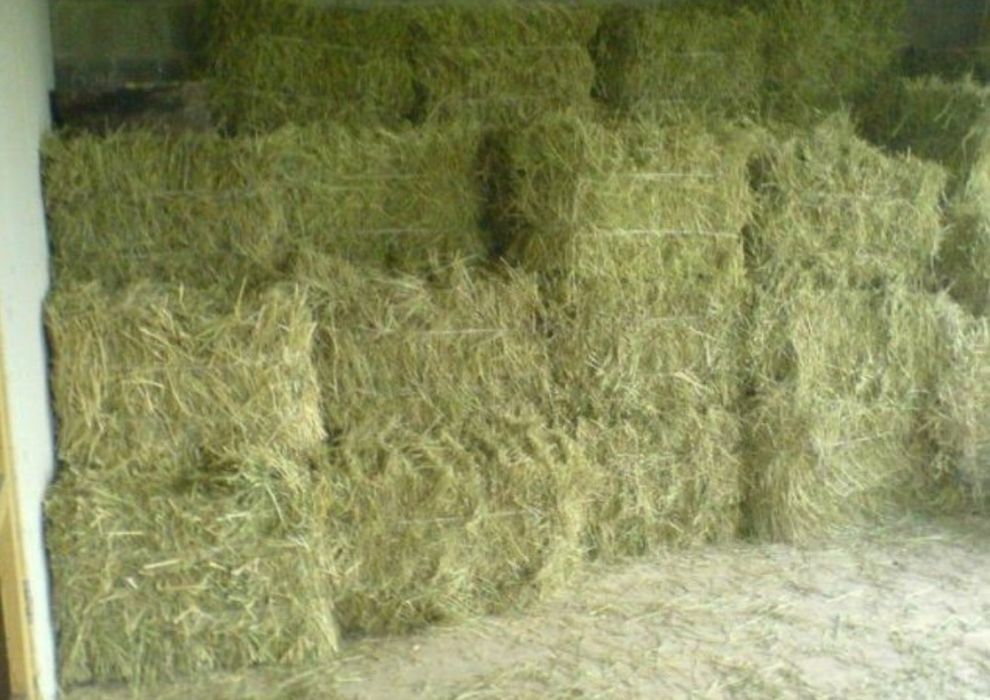 Продам тюки люцерни , сіно, конюшина , різнотрав'я