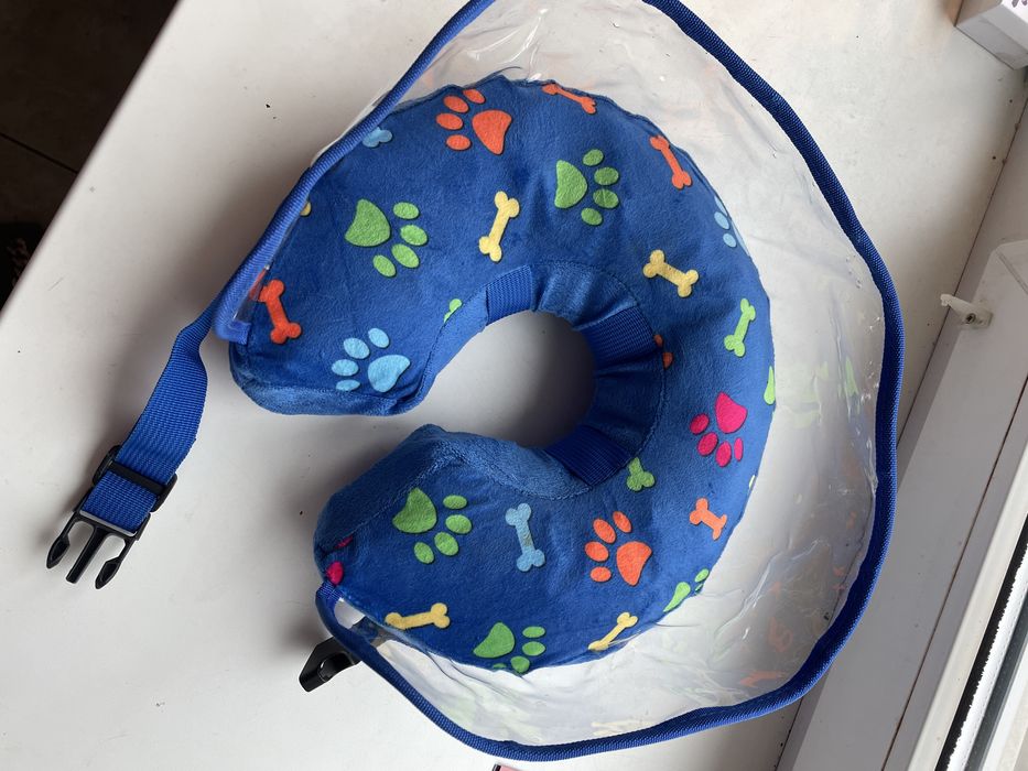 Захисний надувний ошийник для собак