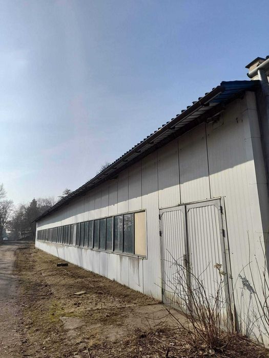 Do wynajęcia hale produkcyjno magazynowe