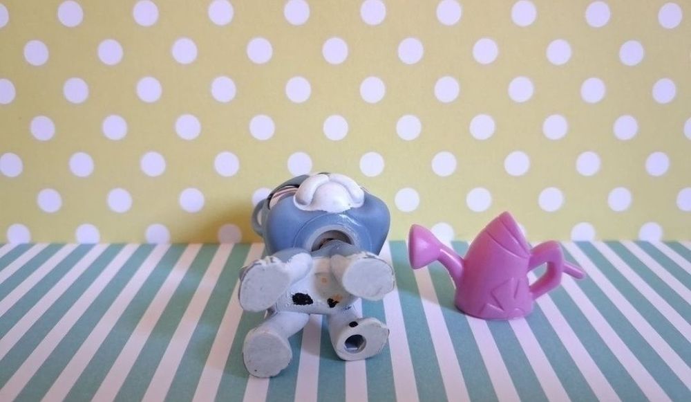 Littlest Pet Shop LPS unikatowy pies Boston Terrier #1025