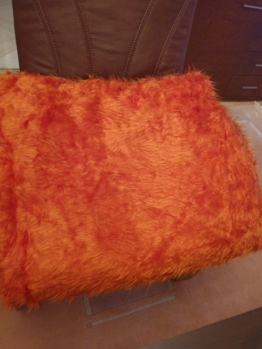 *Nowy* , czeski kupon misia