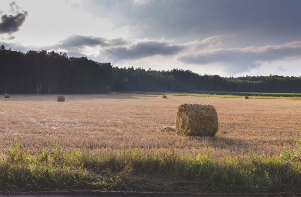 Działka – Zawady, gm. Janowo