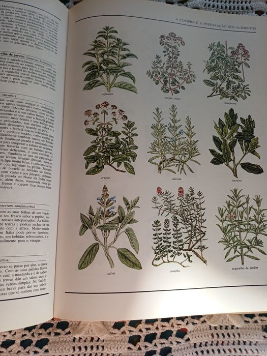 O grande livro ilustrado da culinária