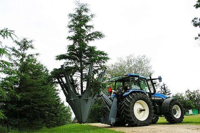 Викопувач, пересадник дерев, викопувальна машина Baumalight ST324