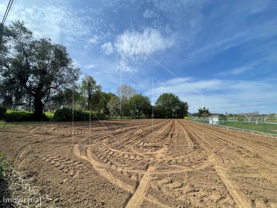 Terreno - Albergaria-a-Velha — Albergaria-A-Velha E Valmaior, Aveiro