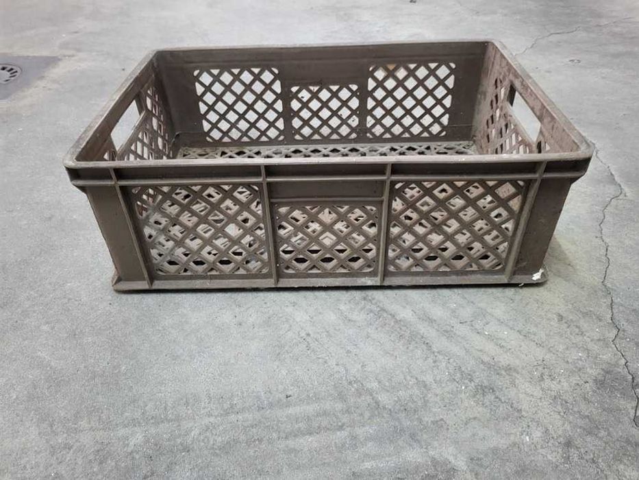 Cesta em Plástico64585194246019120