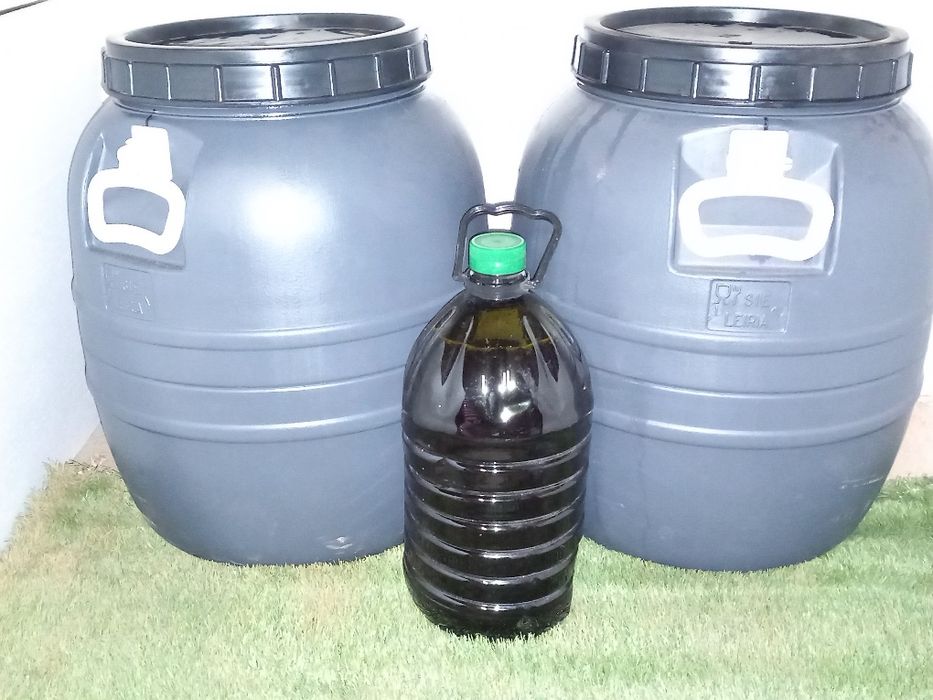 Vendo azeite caseiro