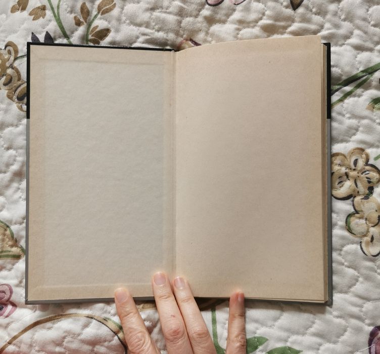 O Álibi Perfeito de Patricia Highsmith