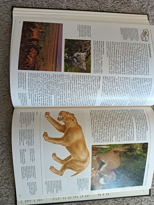 A vida	-	Ardley, Neil; Matthews, Robert  Como novo!