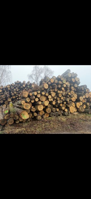 Drewno Kominkowe Dąb