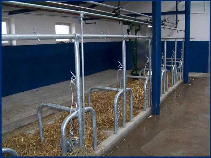 Wygrodzenia stanowiska przegrody dla bydła krów bramki