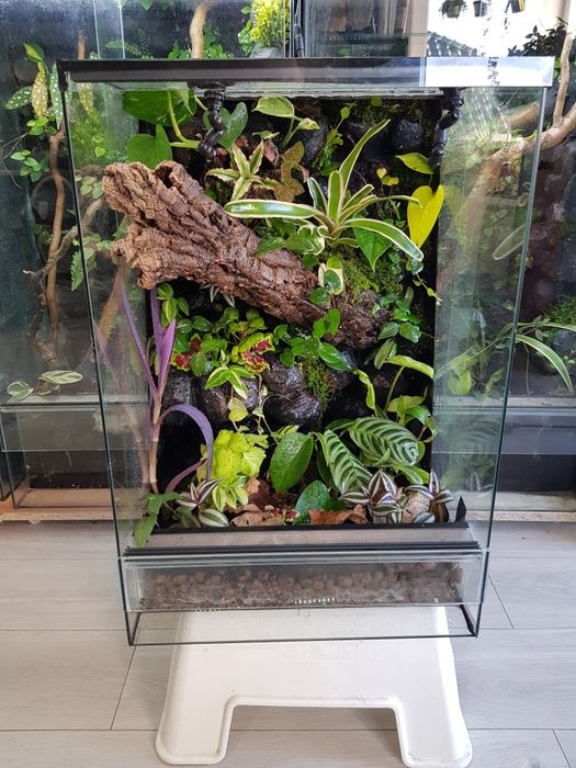Terrarium 40x40x60 gekon