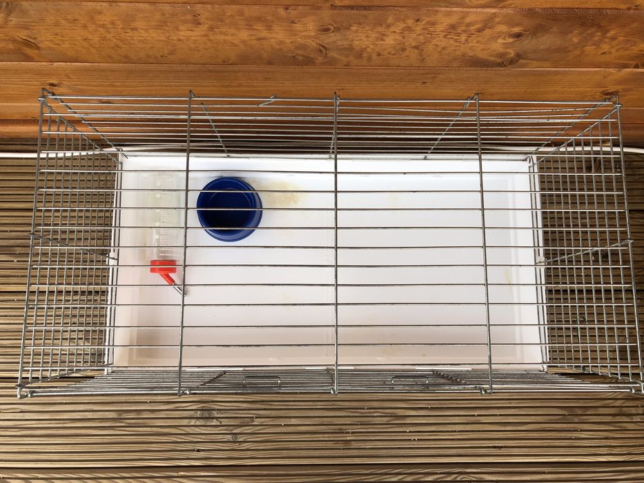 Gaiola para roedores (coelhos, hamsters, porquinhos-da-índia, etc.)