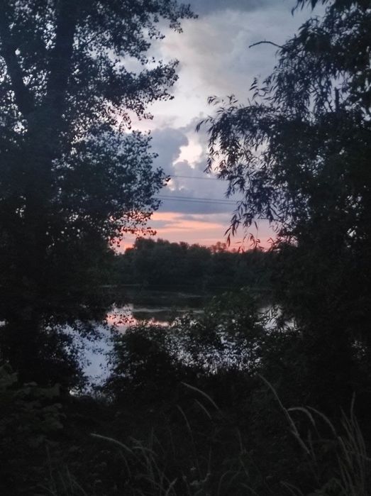 Продам ділянку 12 соток під забудову с. Рожни, Річка Десна