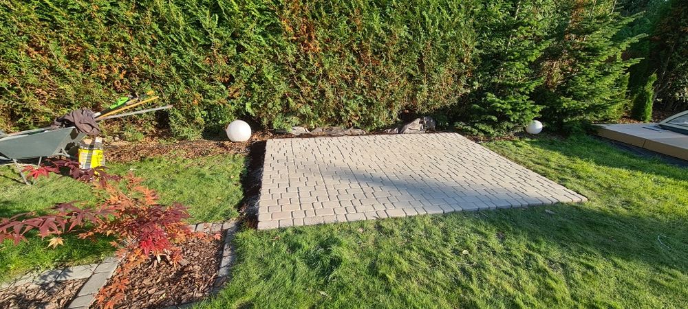 Przycinanie drzew i krzewów, tuji