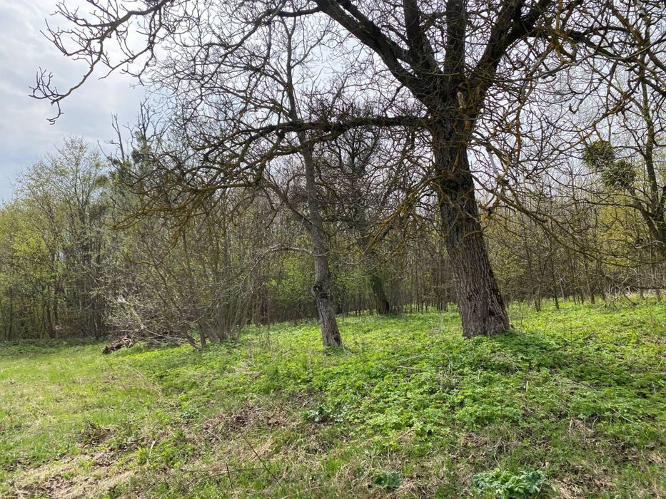 Продаж земельної ділянки під забудову м.Кременець