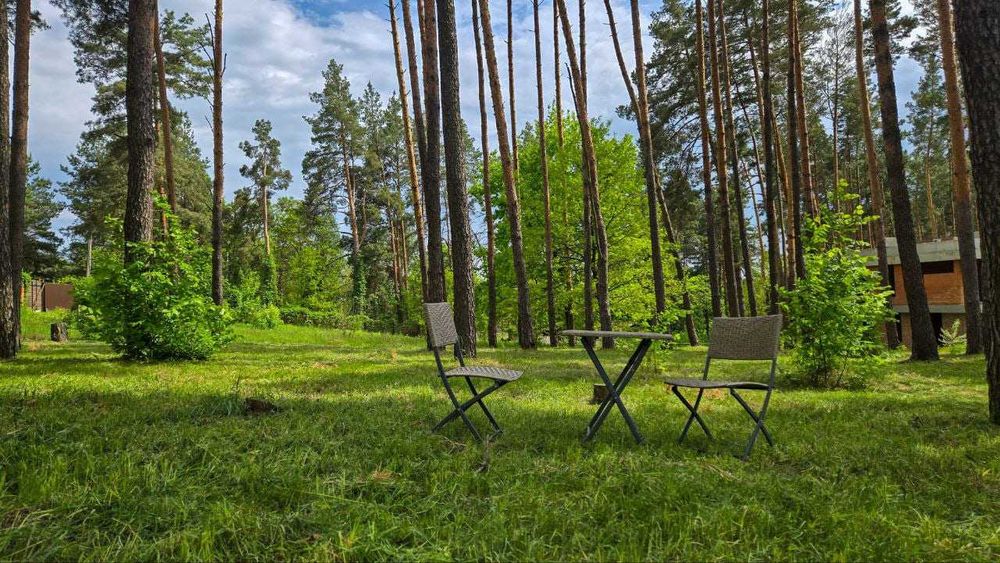 Віта - Поштова. 8 соток в лісі.  Рівна. Асфальт. 69 000 дол
