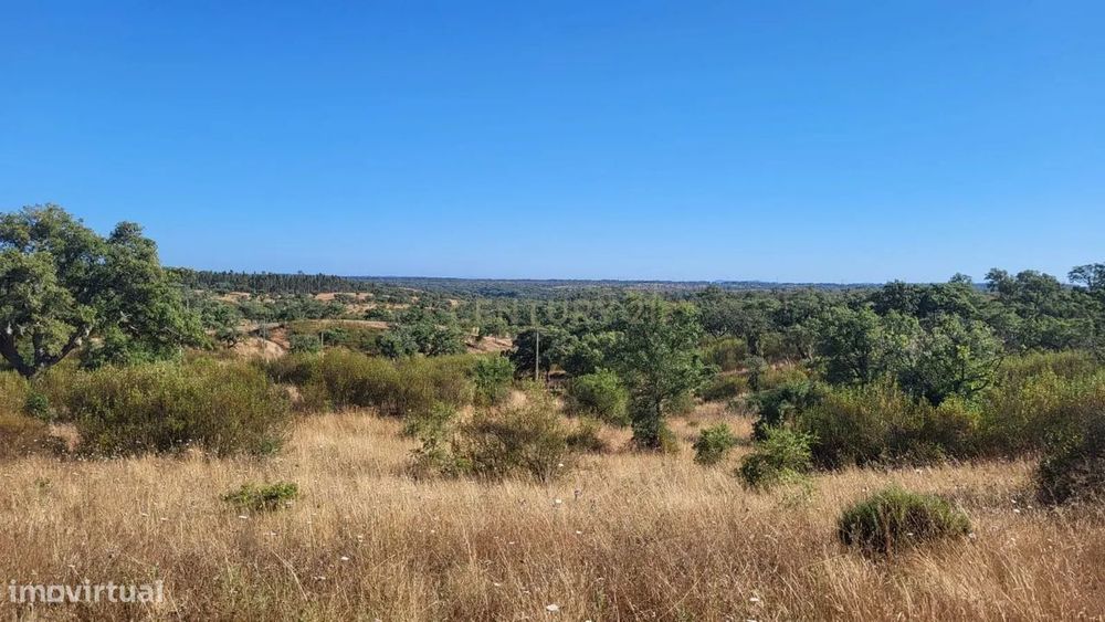 Monte Alentejano - viabilidade 6.000m2 p/ HOTEL RURAL ou 429m2 de HABI