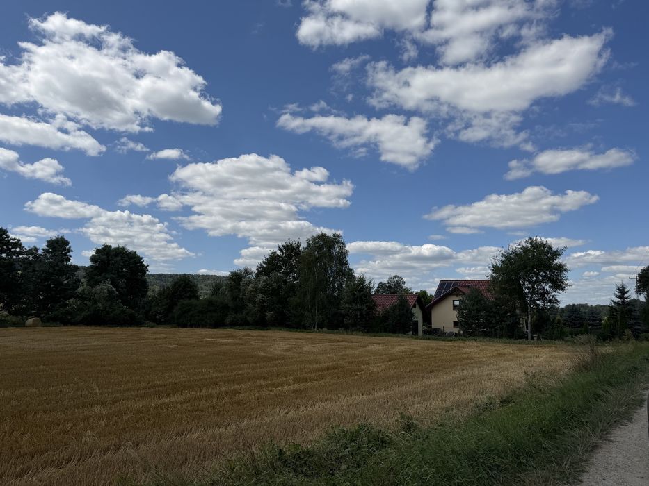 Sprzedam dzialke Ujazd gm. Trzciana 19ar - Widok 2