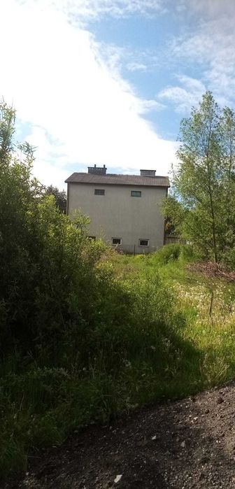 MULCZER LEŚNY oraz WGŁĘBNY wycinka drzew  Czyszczenie działki PILAR /