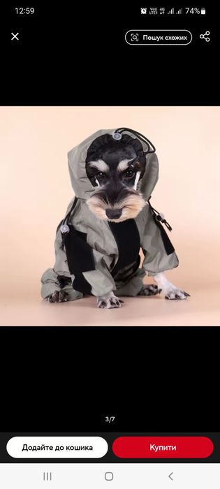 Комбінезон дощовик на собаку до 12 кг міні пудель, джек рассел