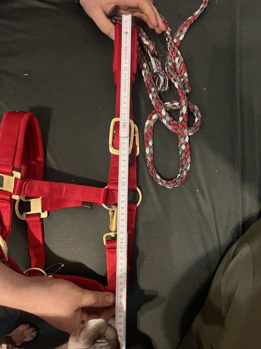 Kantar dla konia czerwony  nowy