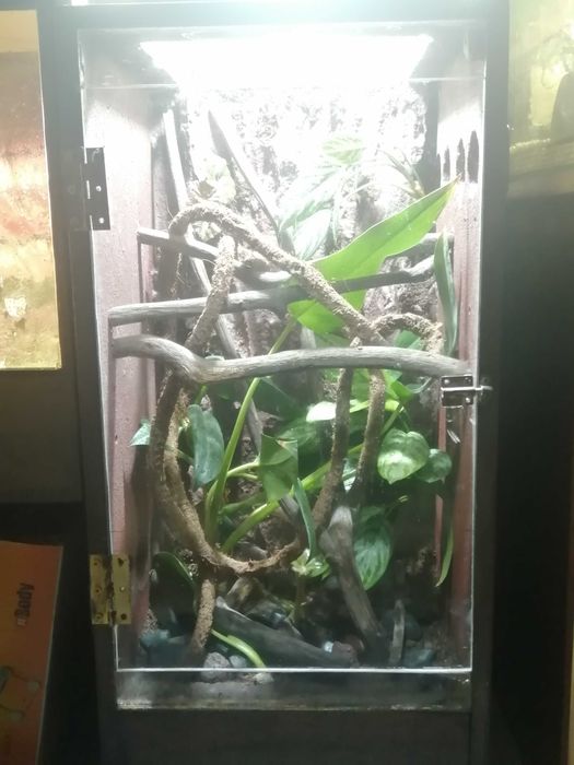 TERRÁRIOS / RACKS  ( Projetos á sua medida )