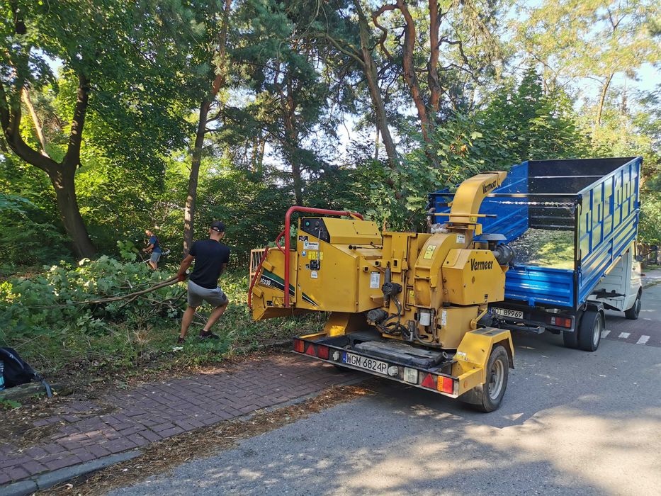 Wycinka drzew / rębak do gałęzi / czyszczenie działek / frezowanie pni