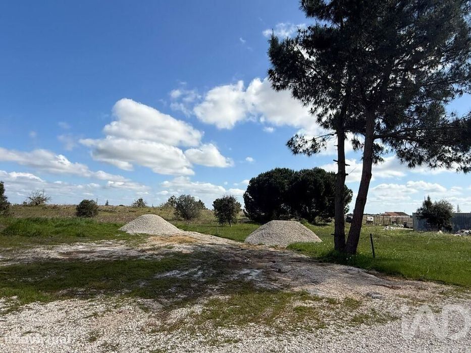 Terreno Agrícola em Palmela