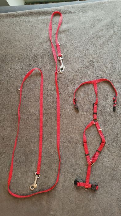 Szelki ze smyczka XS Nylonowa