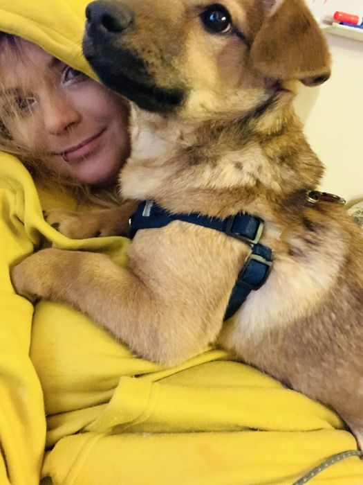 Domowy hotel dla psów Niunieczkowo