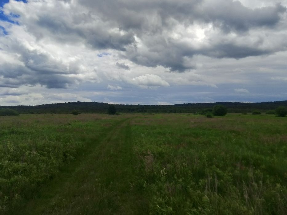Продам земельну ділянку