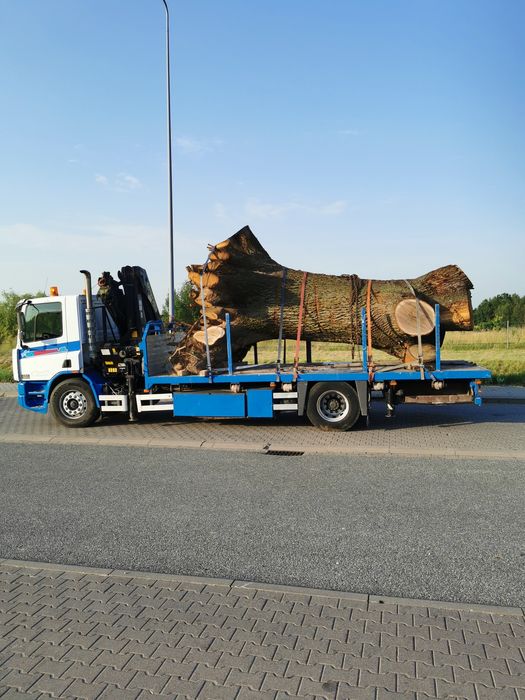 Hds, Kontenery,Usługi Transportowe, Transport Drewna