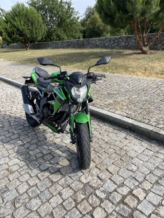 Kawazaki z125 2019