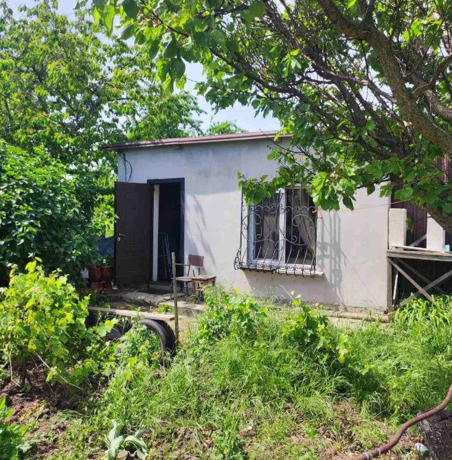 Продается Дом в Светлом! Есть все Документы! Цена ниже Коммуны.