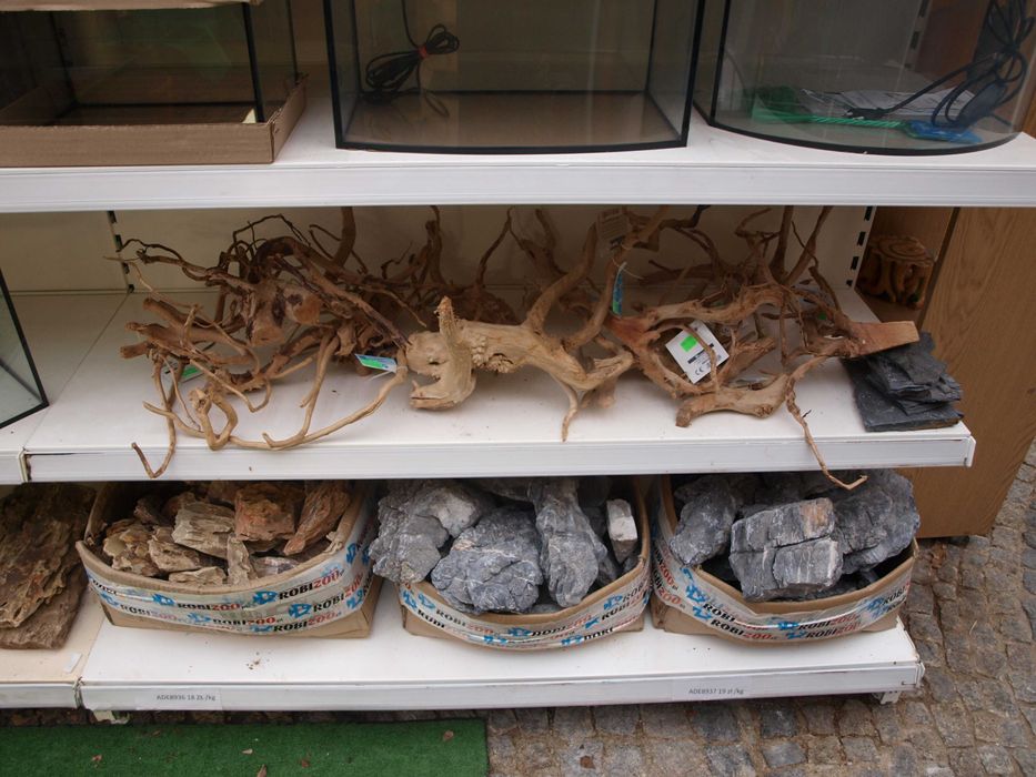 Korzenie do akwarium i terrarium.