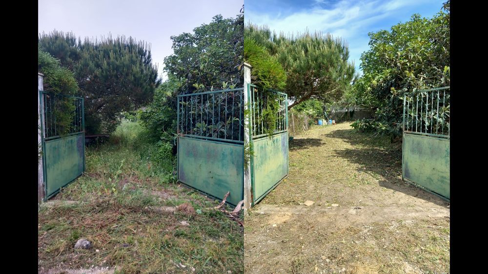 Limpeza de Terrenos