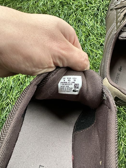 кросівки Lacoste Chaymon