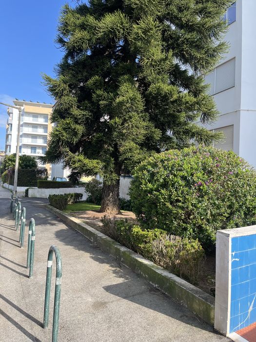 T2 Parede para arrendar com mobilia .